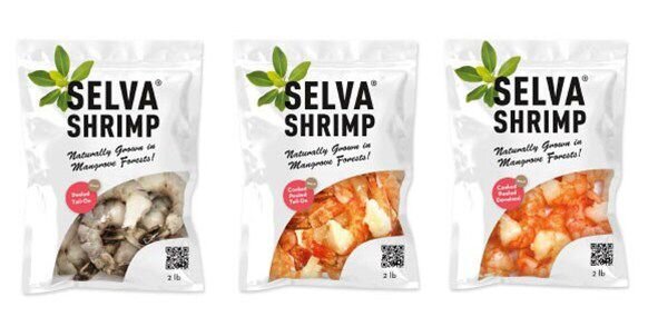 B022ccef45f39711e12a093a4f28382c