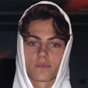 Raftus harry image