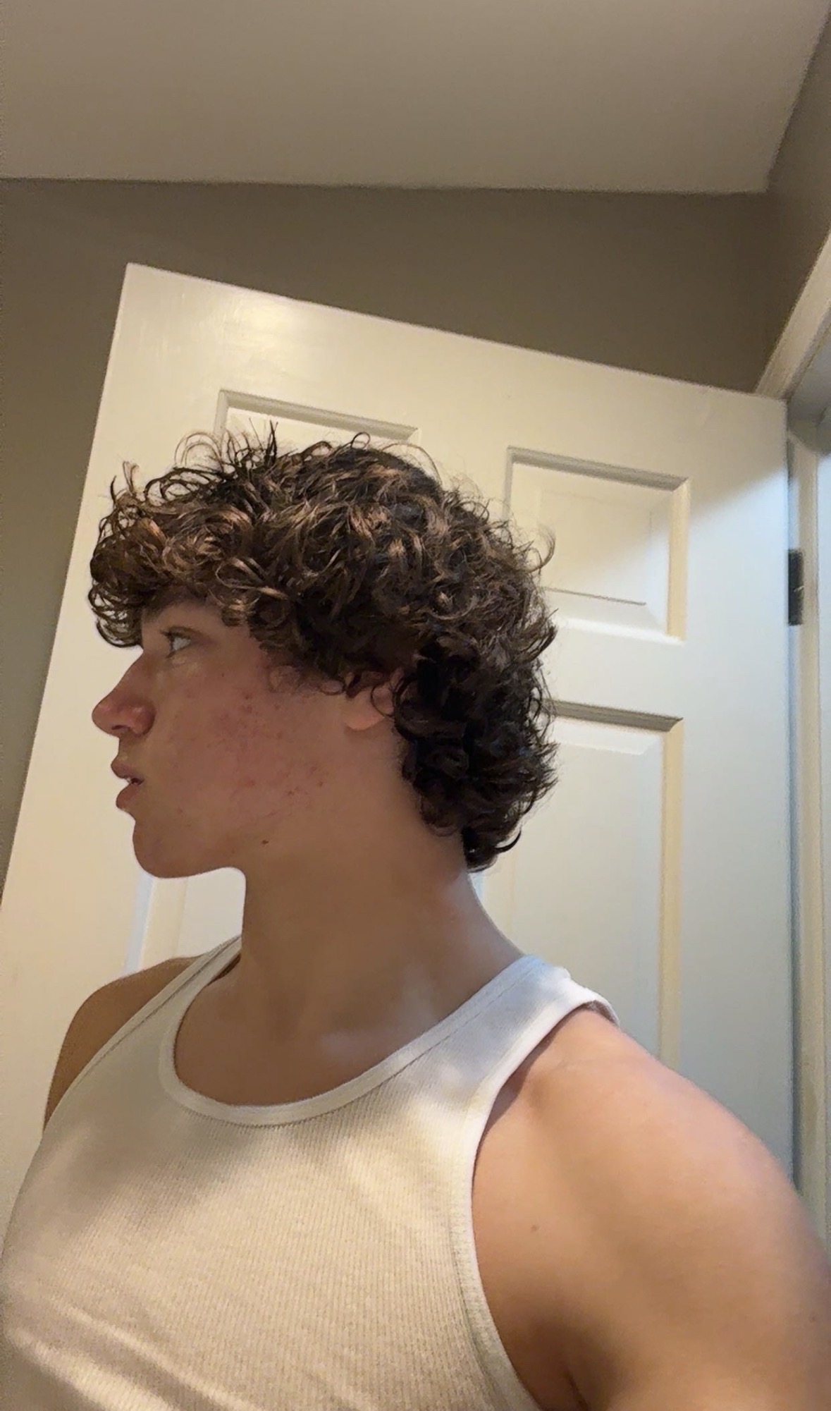 IMG 3725