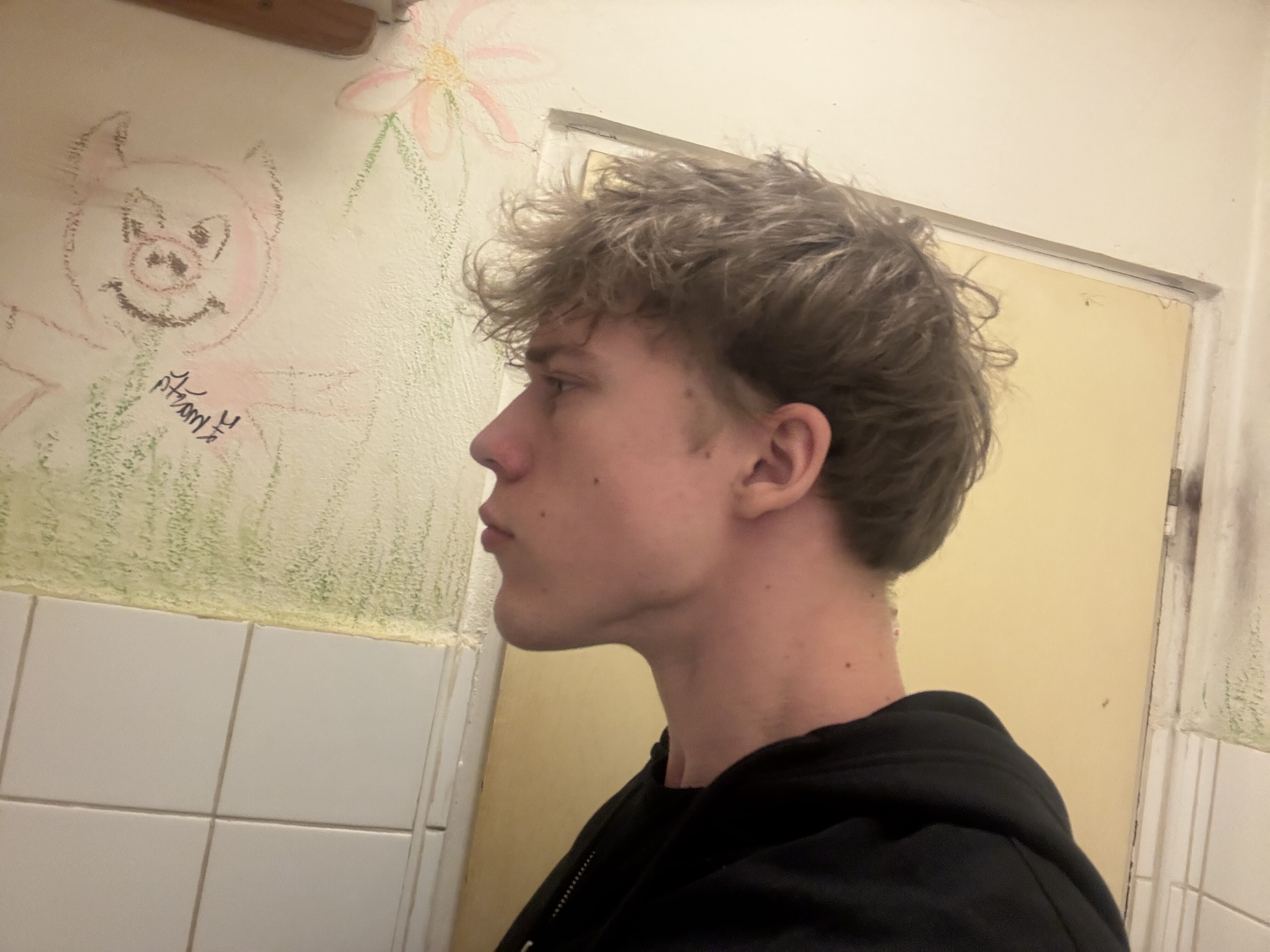 IMG 7315