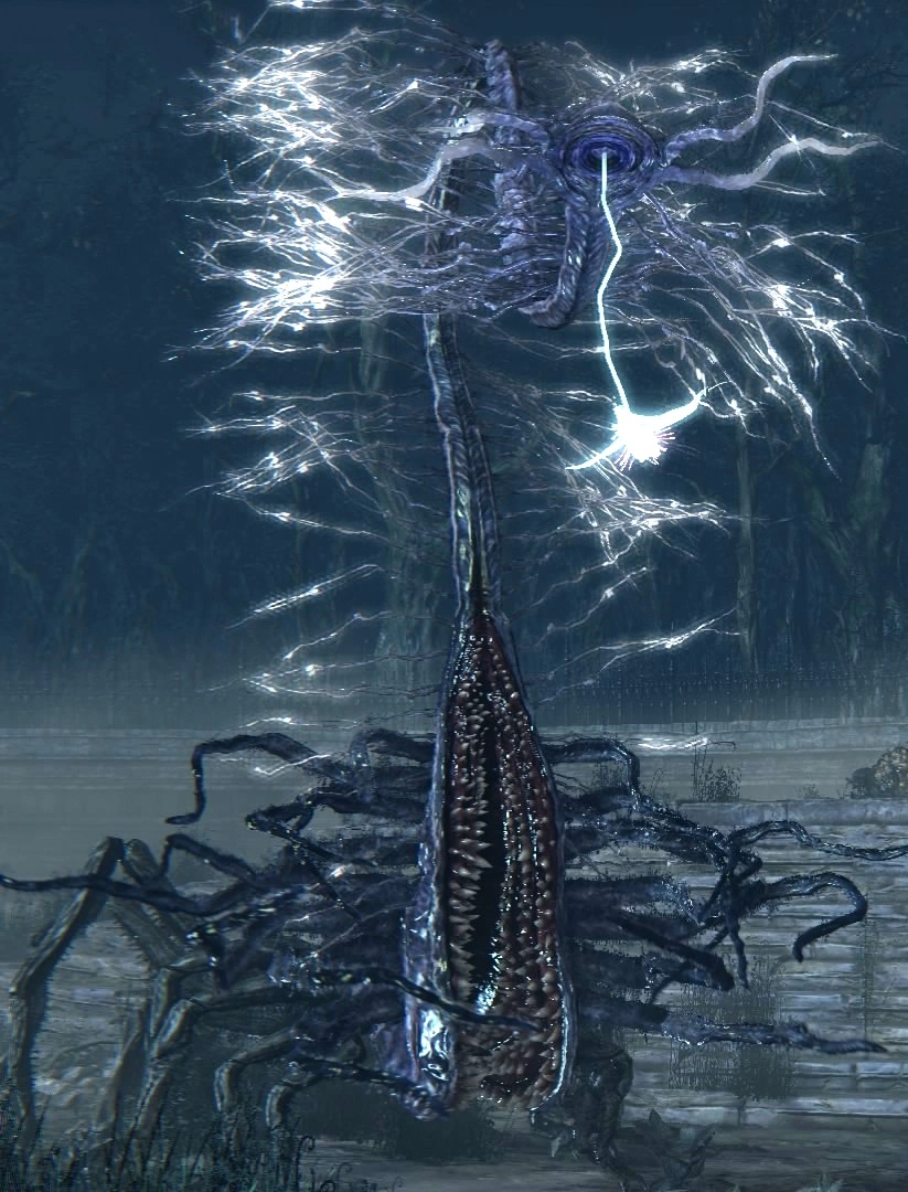 1000081983