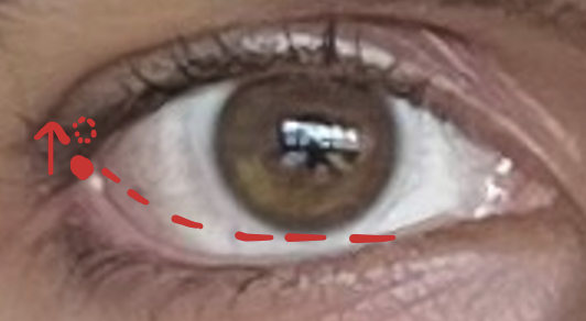 1777664839647