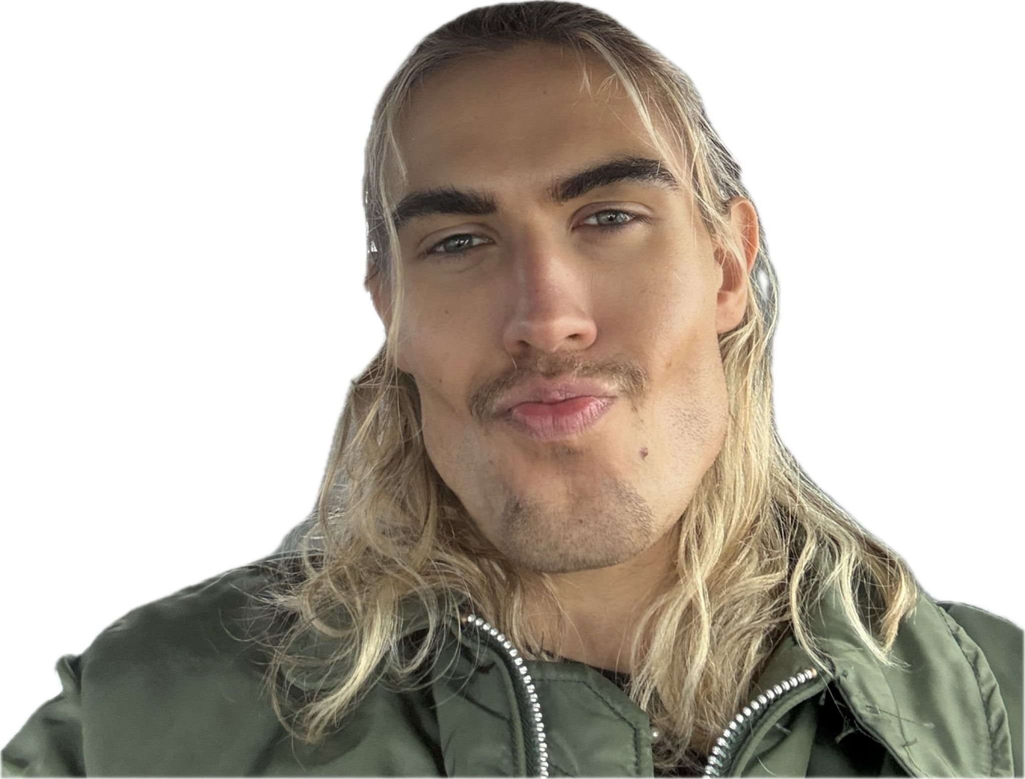 Fin