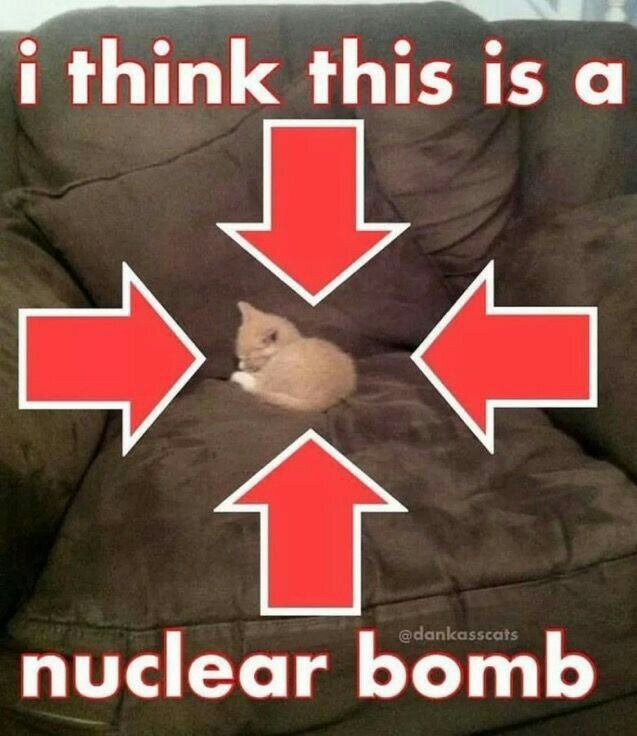 1000011571