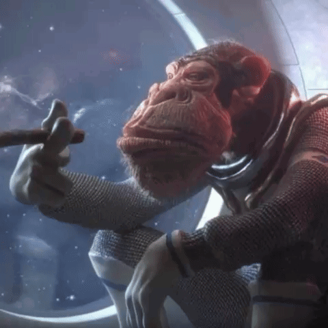 Monkey smoke monkey