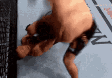 Khabib conor