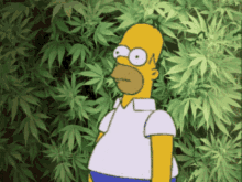 Tchau
