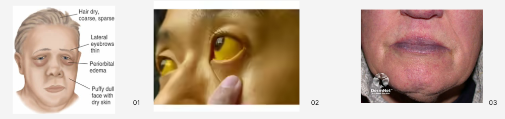 Screenshot 2026 05 02 104622
