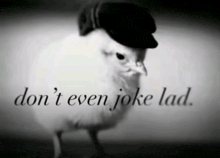 1777755364378