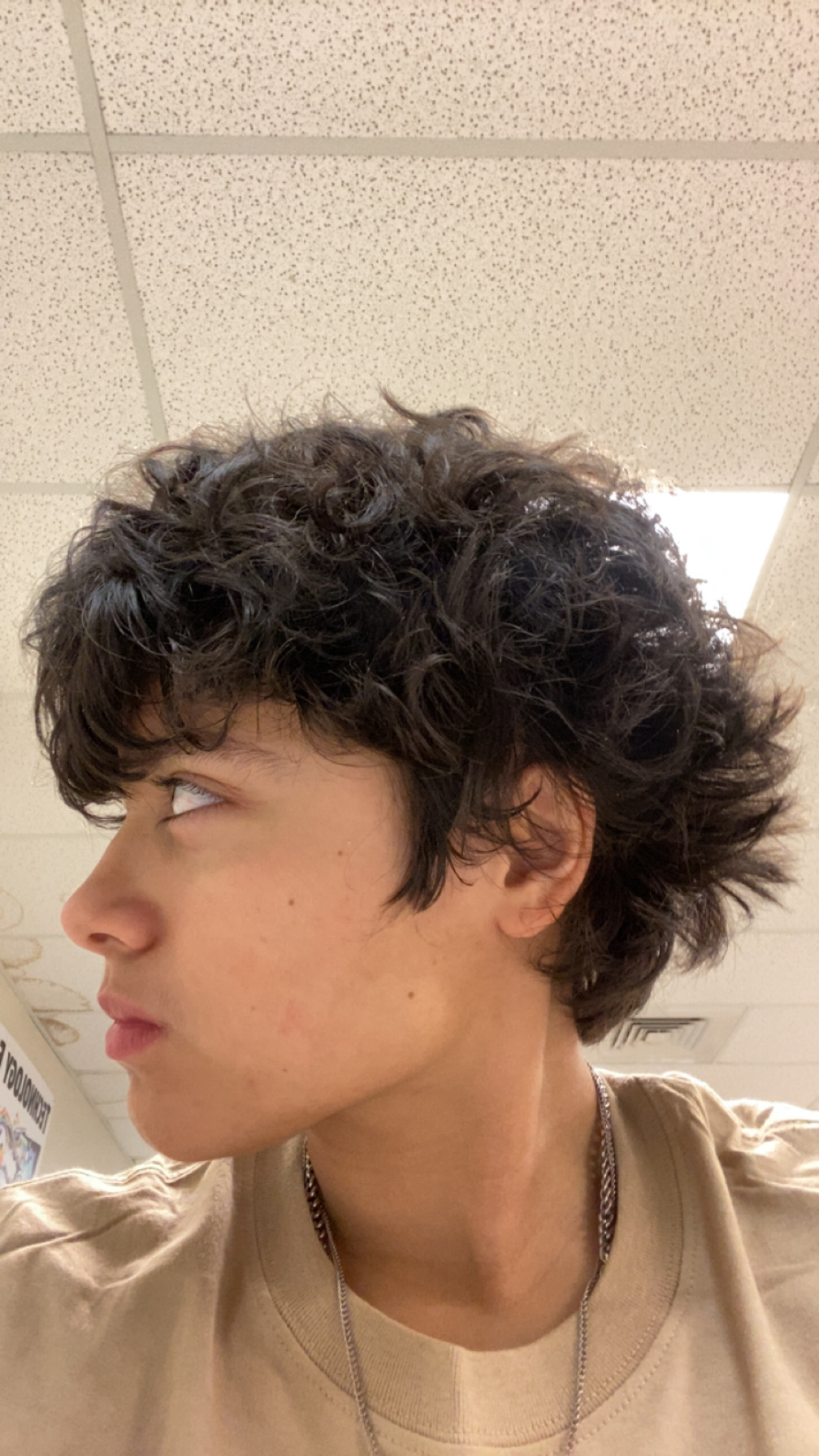 IMG 2704