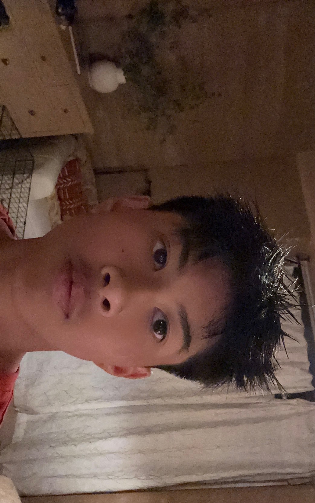 IMG 1346