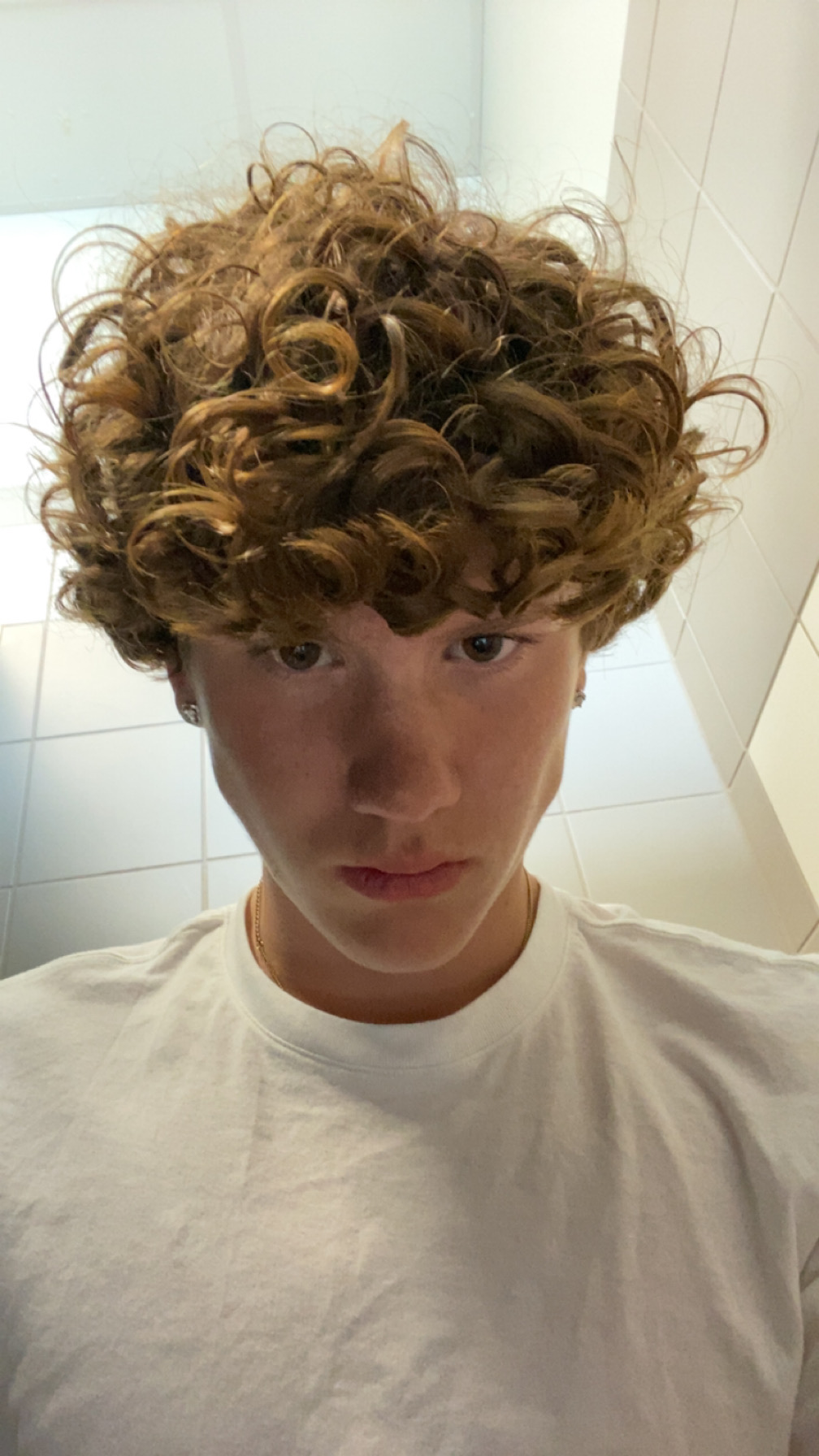 IMG 2084