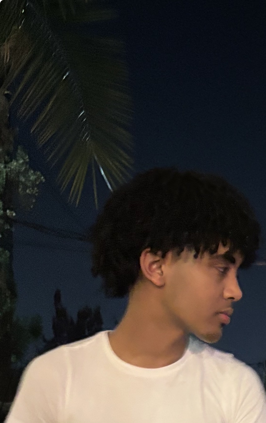 IMG 6264
