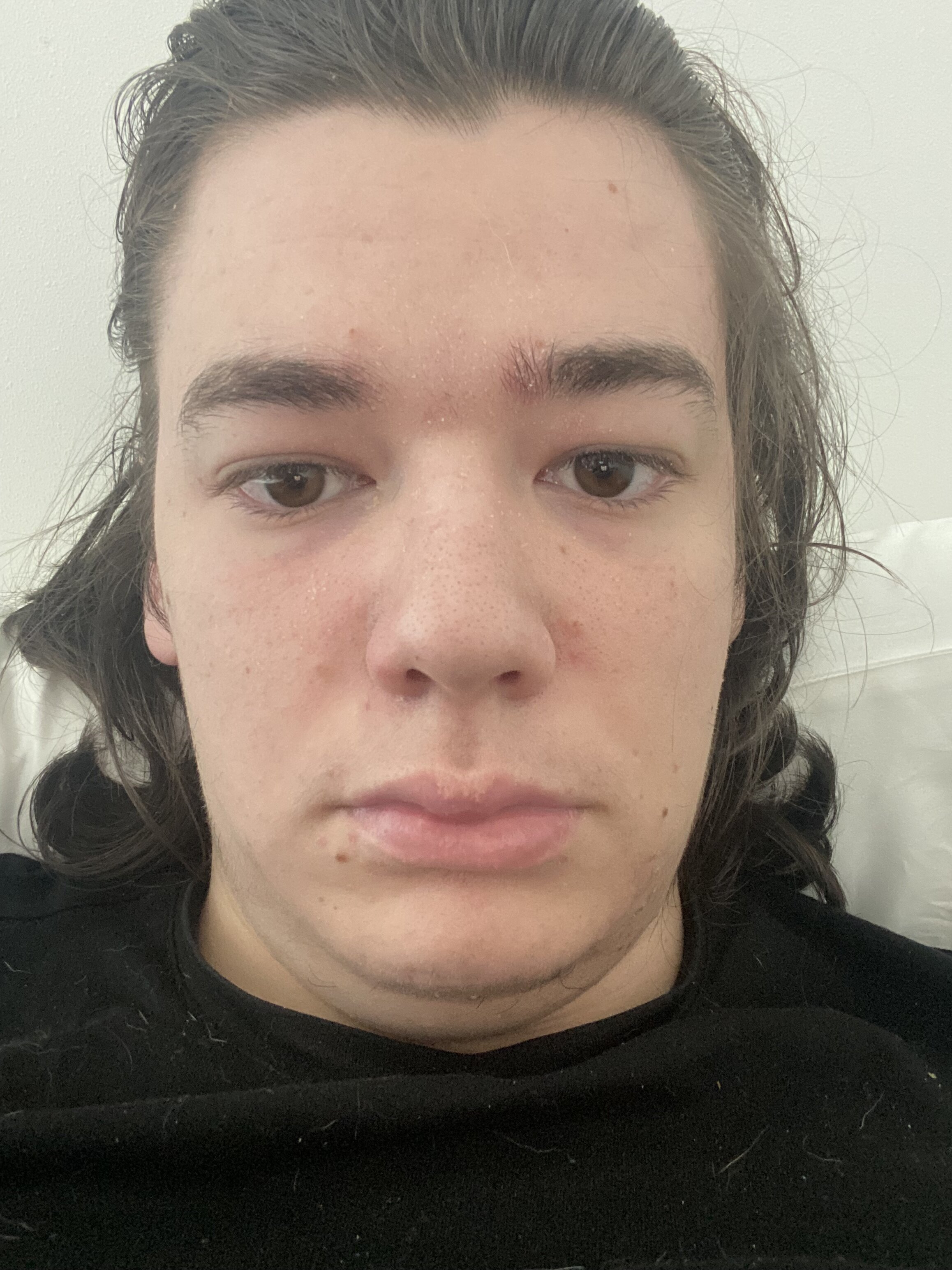 IMG 3580
