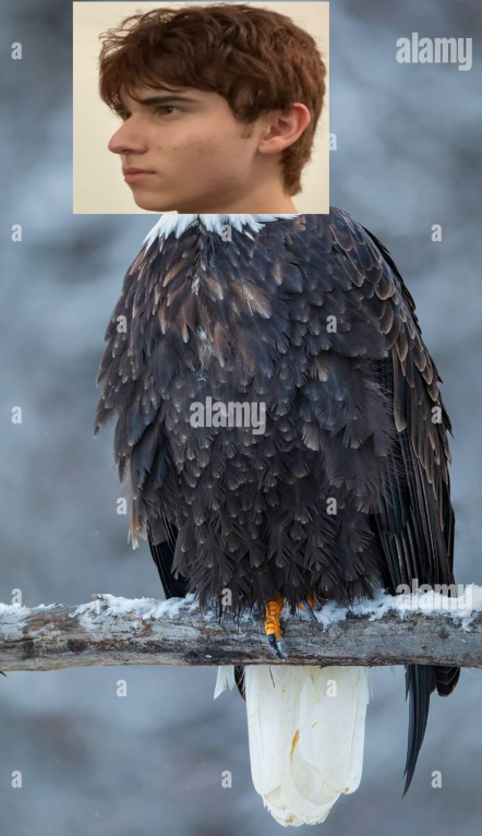 1777868275720