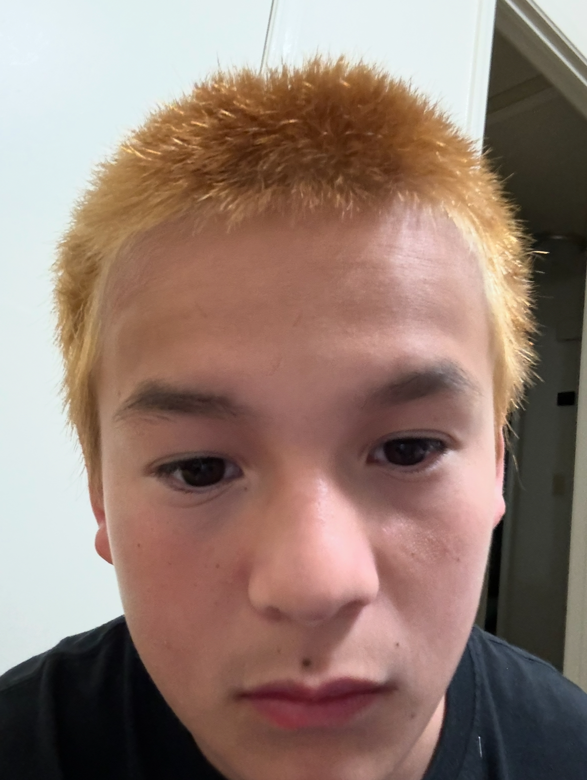 IMG 3751