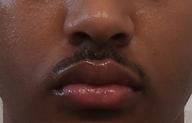IMG 2137