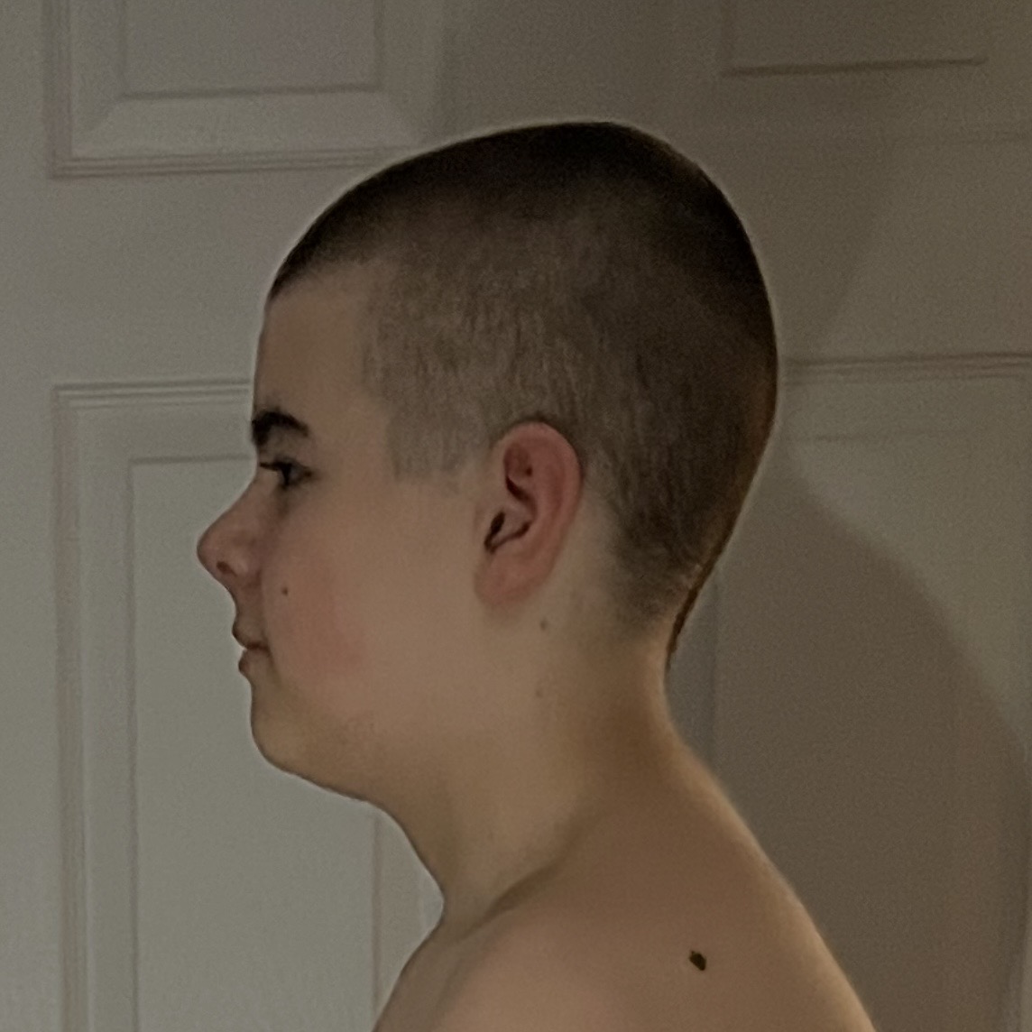 IMG 1188