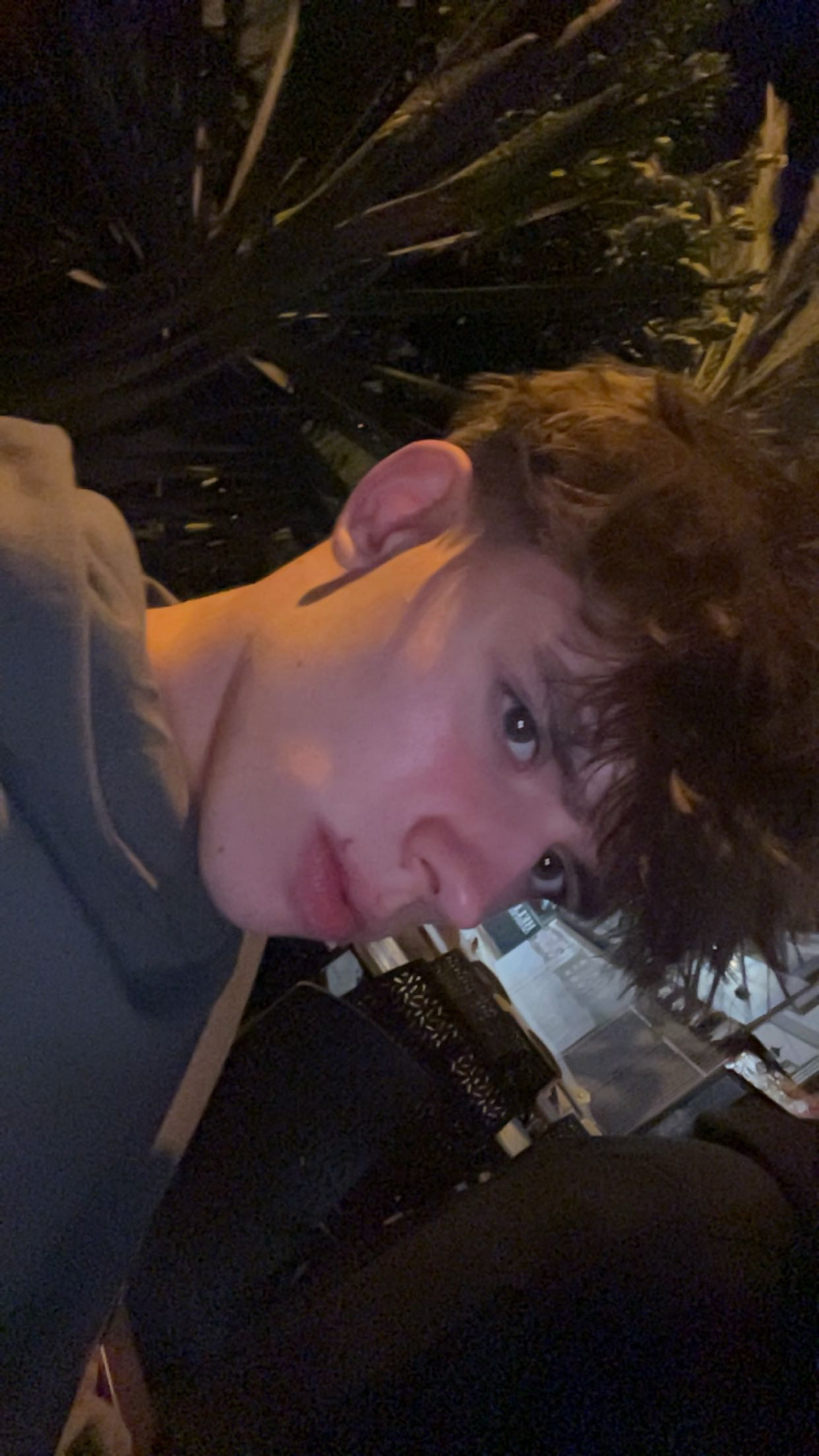 IMG 0520