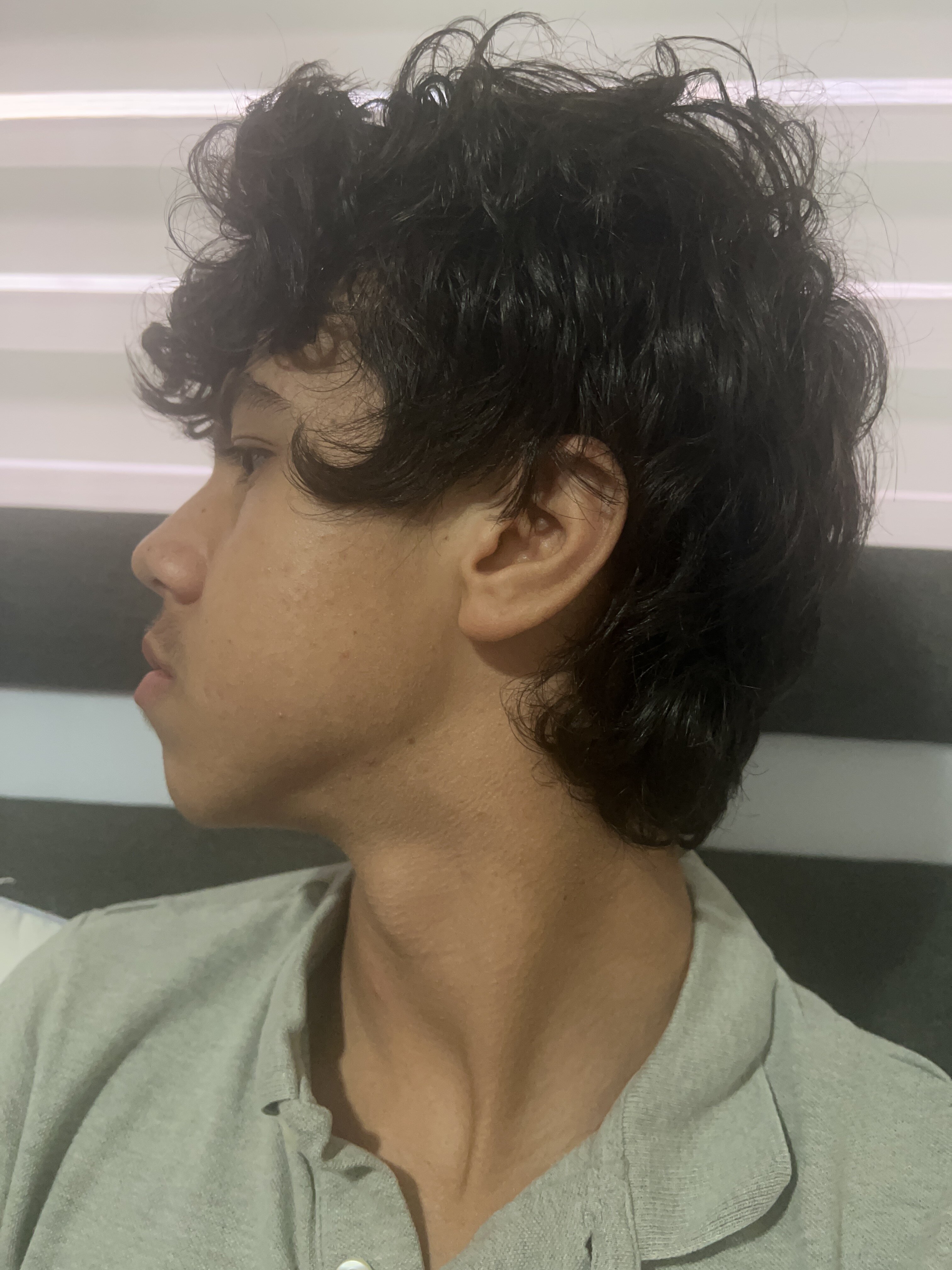 IMG 0627