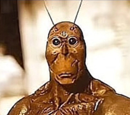1777946355561