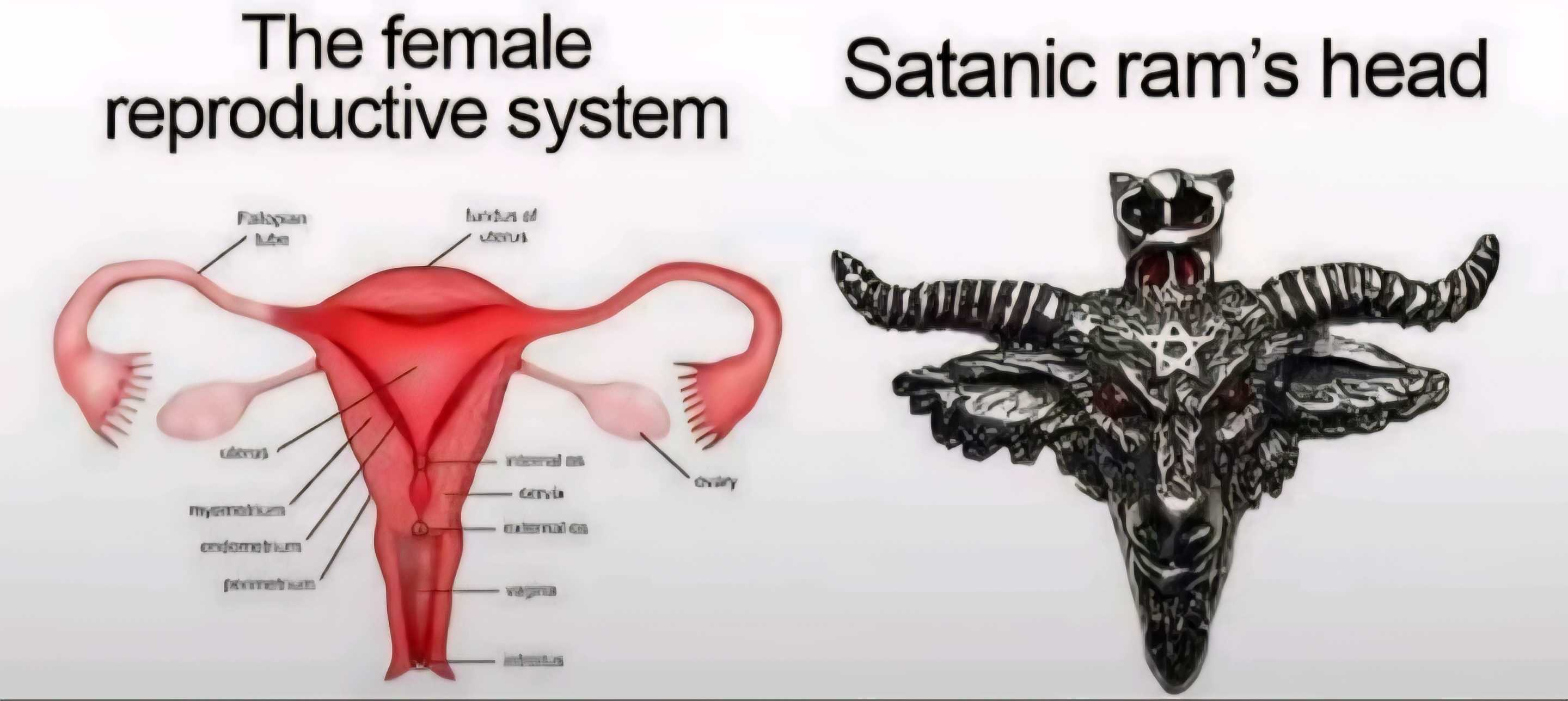 6220687 1777739864625