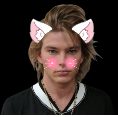 Jordan cat