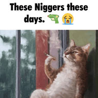 294601