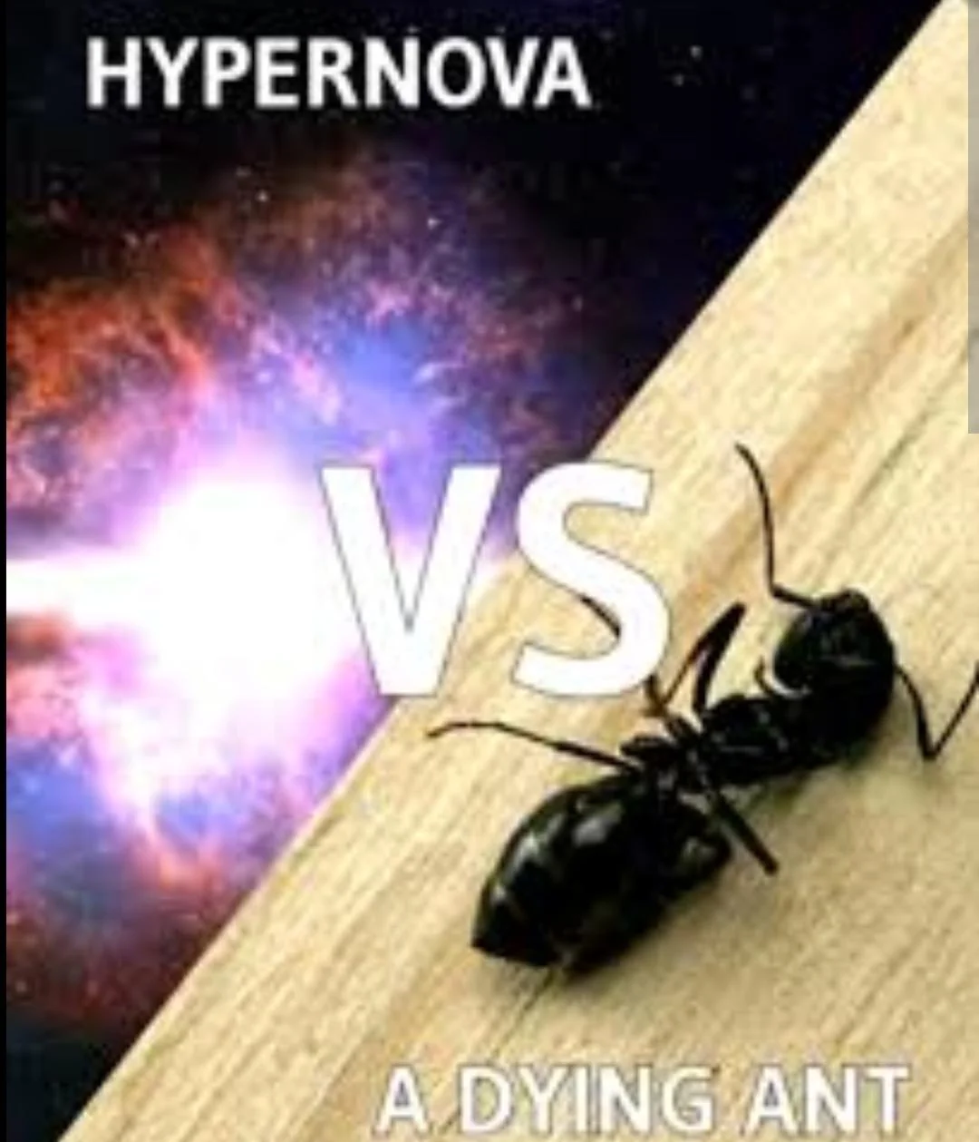 1778029347685