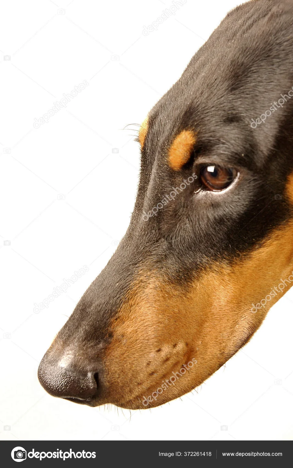 1000125041