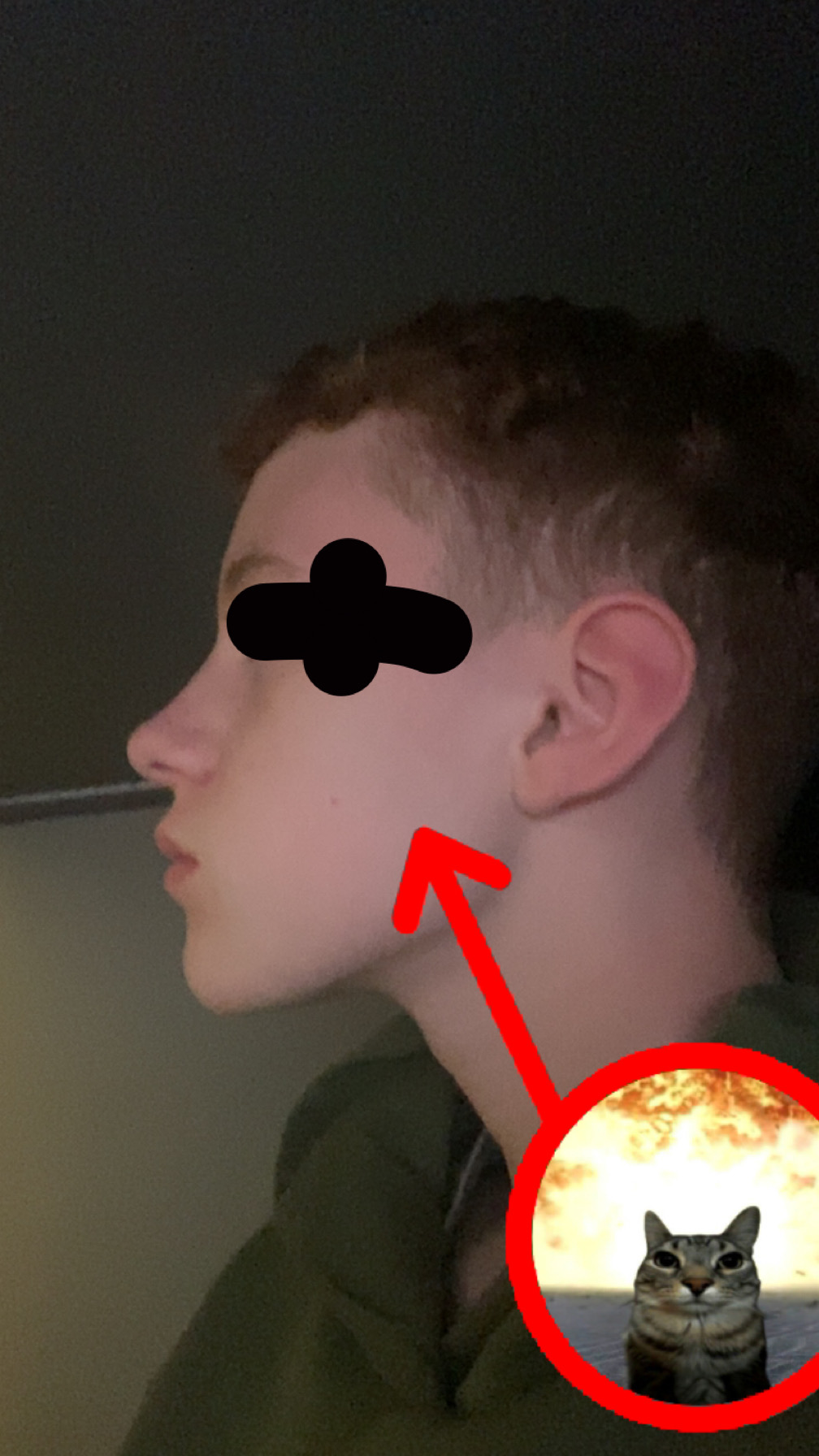 IMG 1998