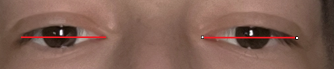1778099809756