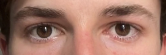 IMG 0339