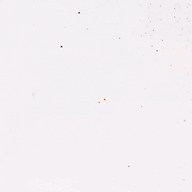 1778128479053