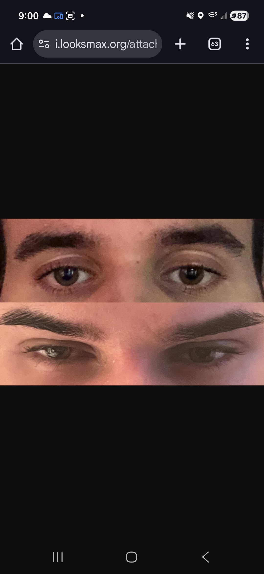 1000002233