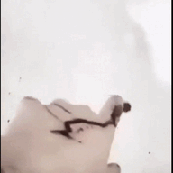 1000099397