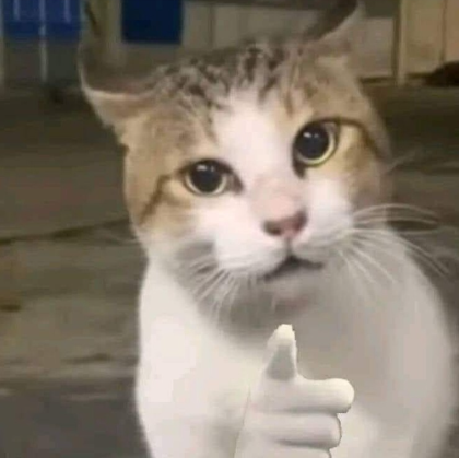 1778163646192