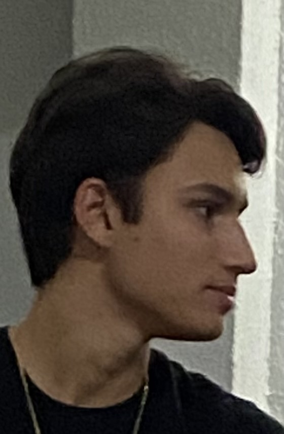 IMG 7203