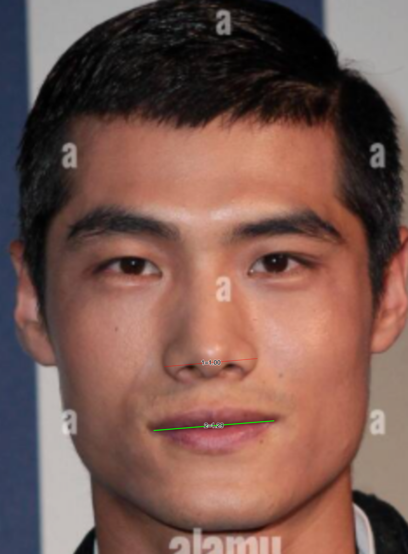 1778197480421