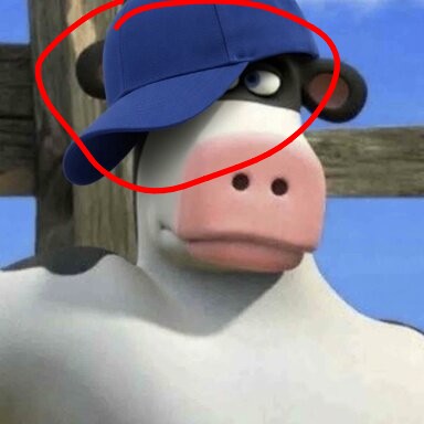 355660 1 1