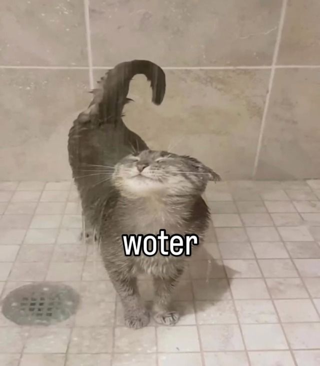 1000011882