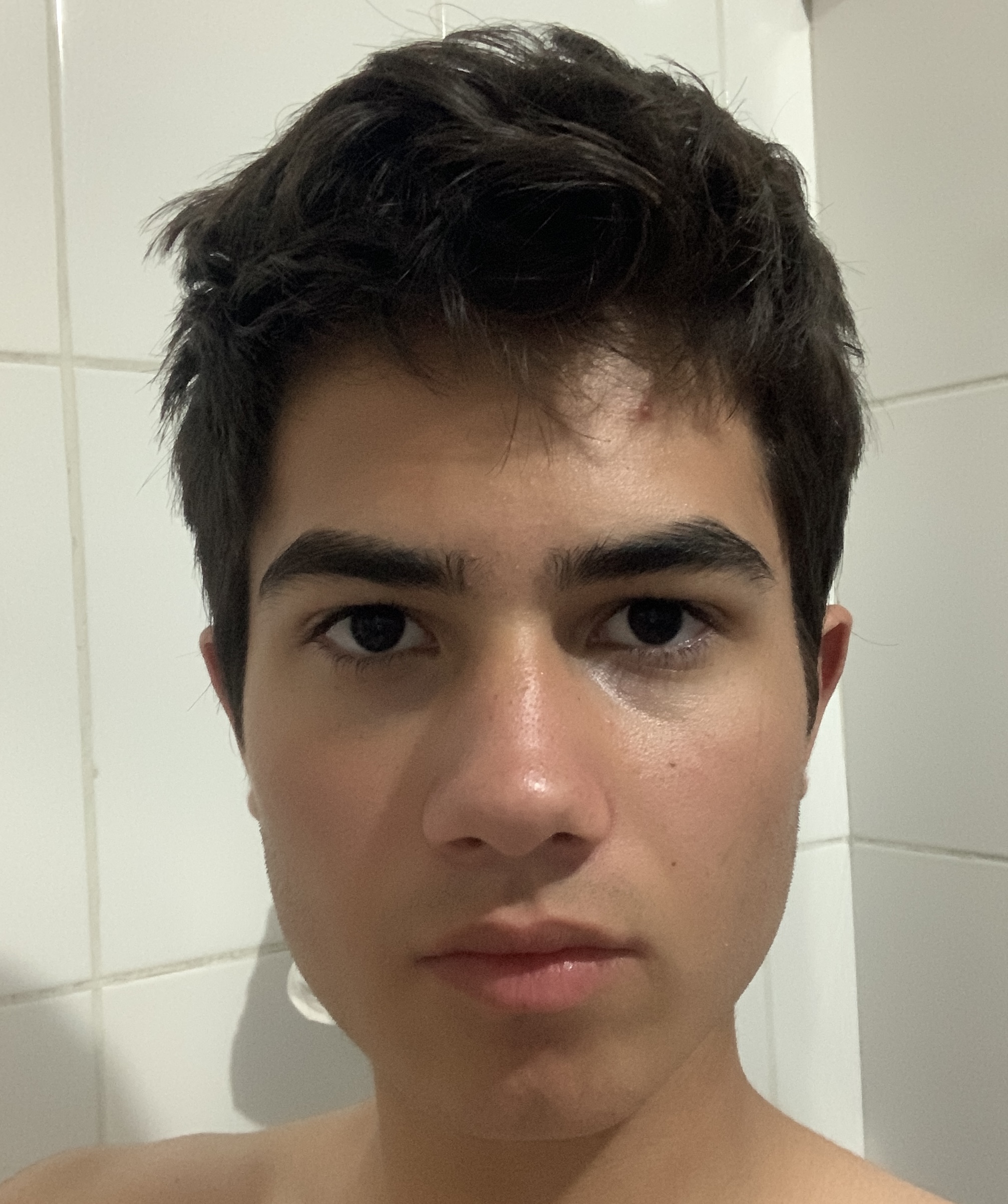 IMG 1478