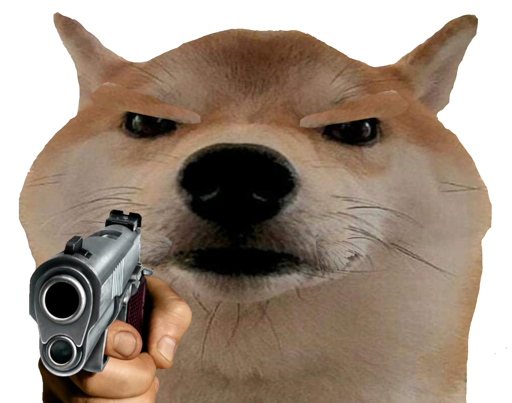 Yugz2apjanp41 1