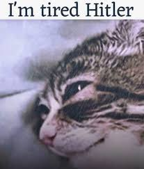 1771956159305k