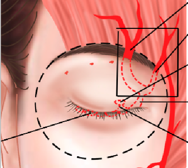 1778357257566