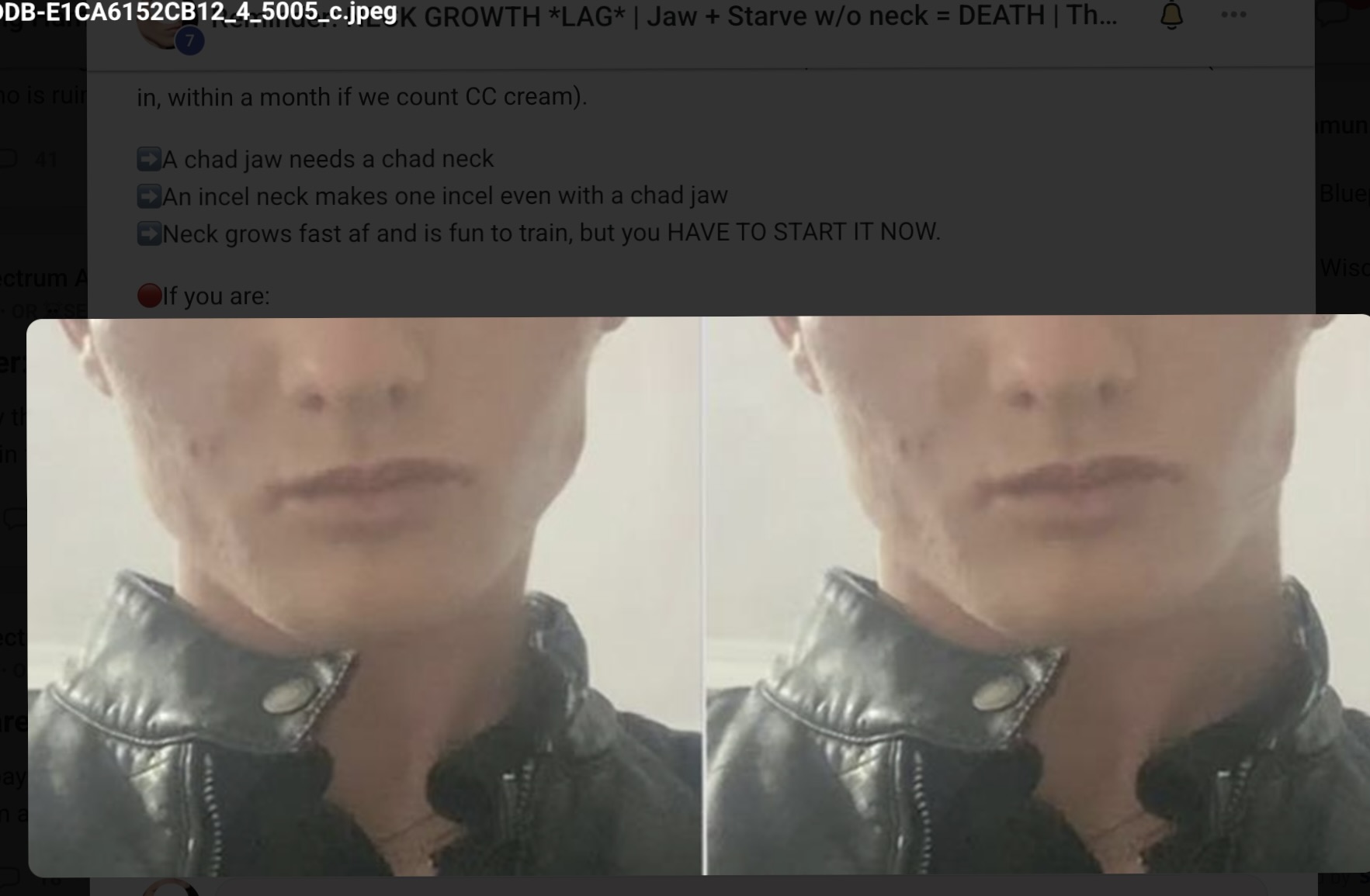 1778363391462