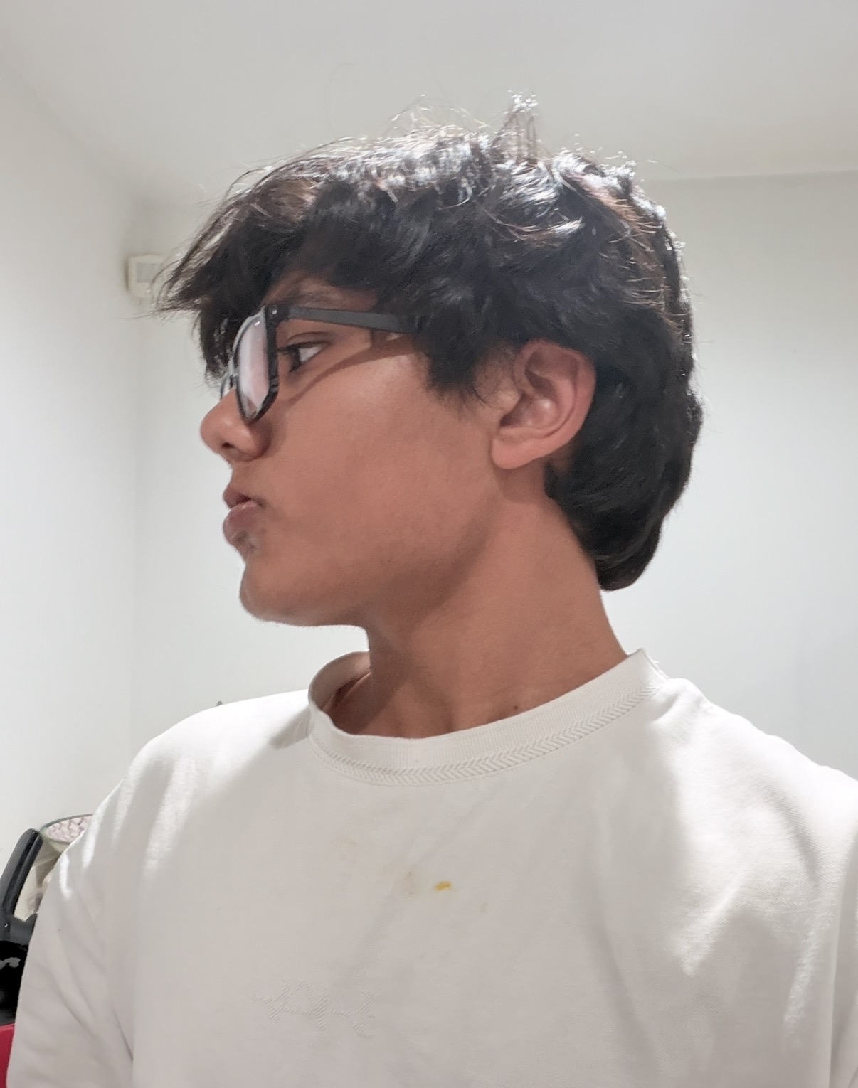 IMG 3734