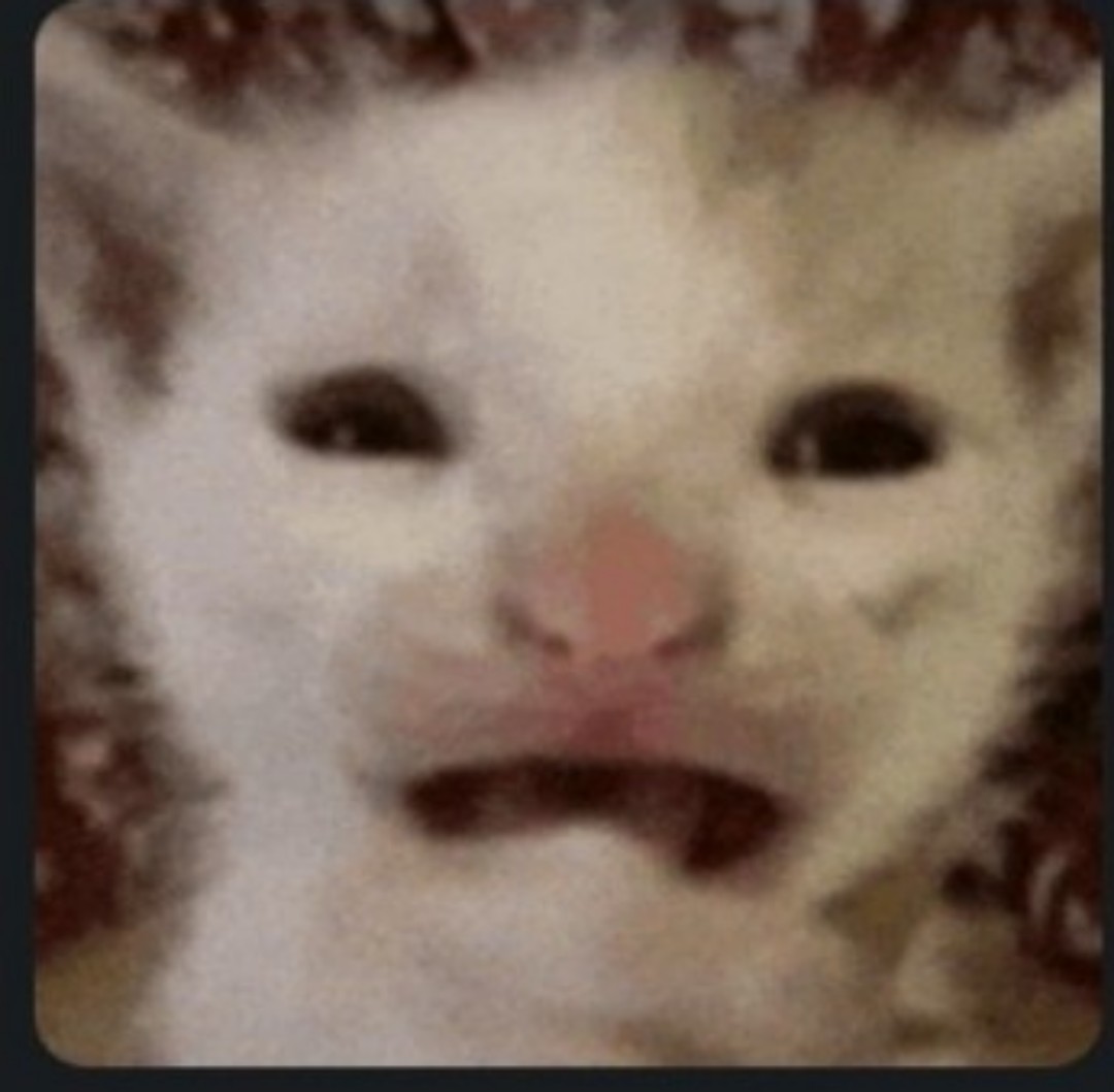1778337549633