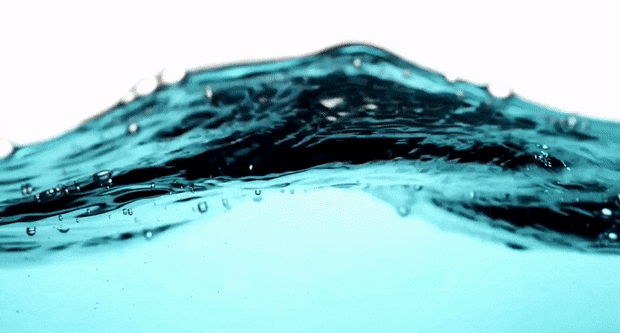 1000130568