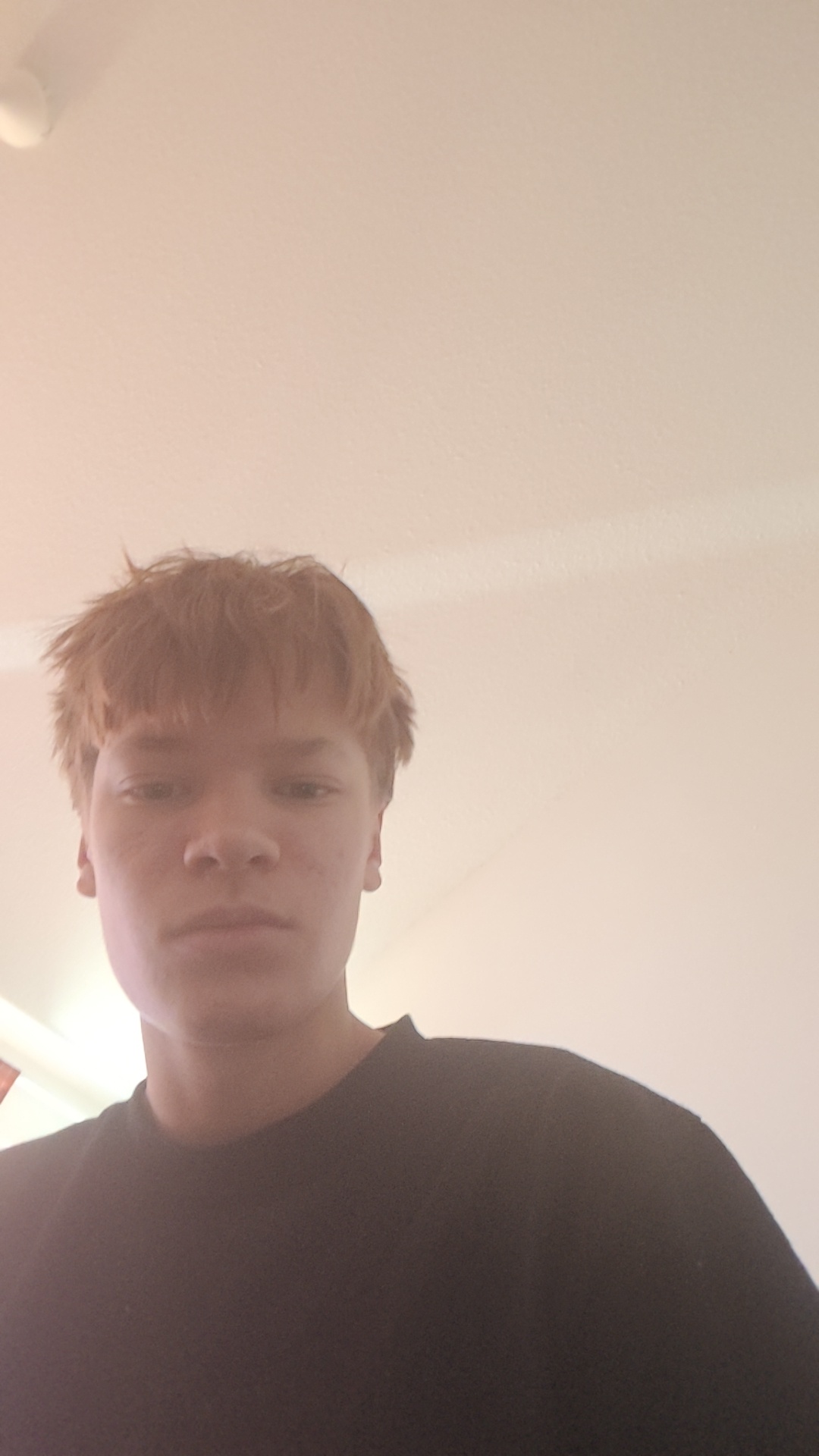11317